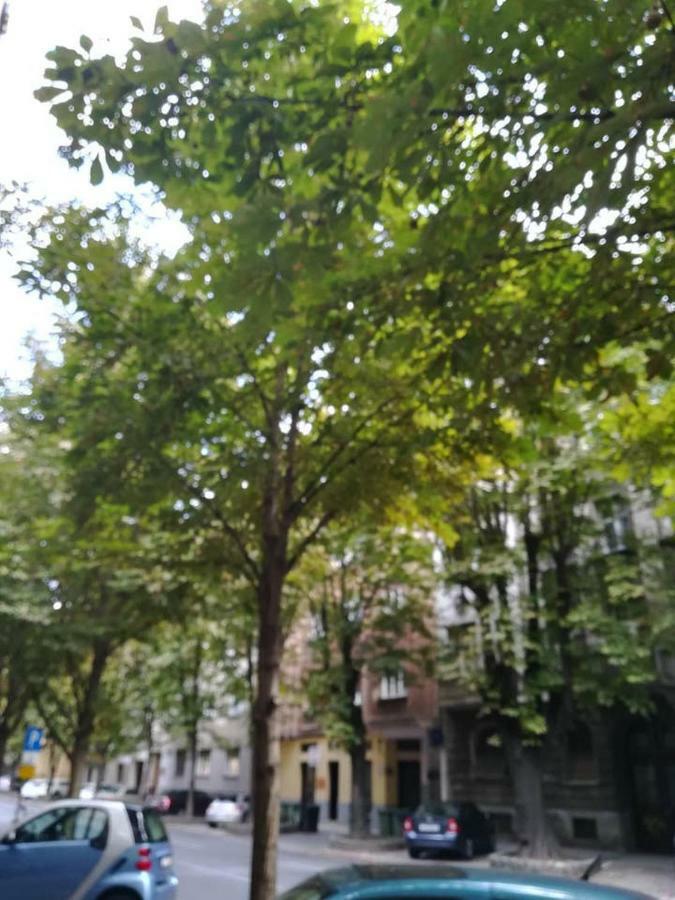 Dreno Apartman Zagreb Exteriör bild